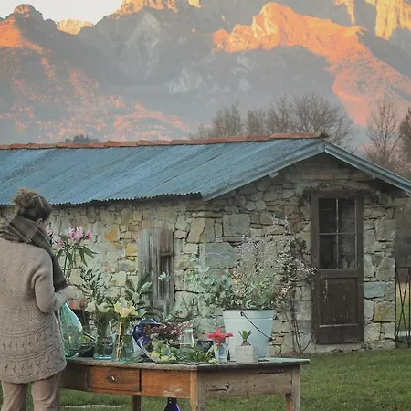 ベッド・アンド・ブレックファスト 61 -