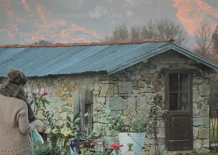Bed & Breakfast 61 -